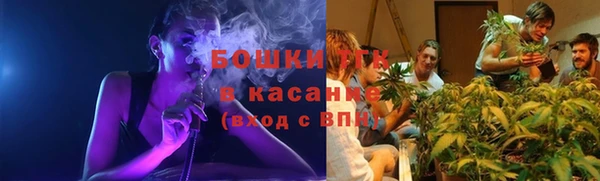 PSILOCYBIN Алексеевка