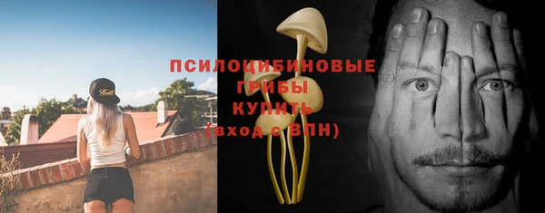 мяу мяу мука Алексин