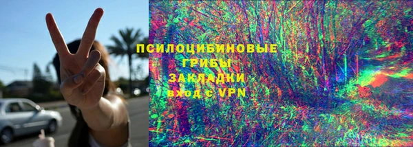 PSILOCYBIN Алексеевка