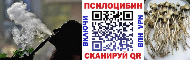 Псилоцибиновые грибы Psilocybine cubensis  hydra ссылка  Красноуральск  как найти закладки 