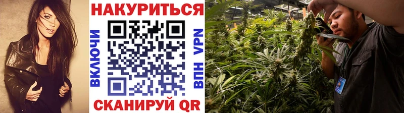 Канабис AK-47  даркнет официальный сайт  Красноуральск  сколько стоит 